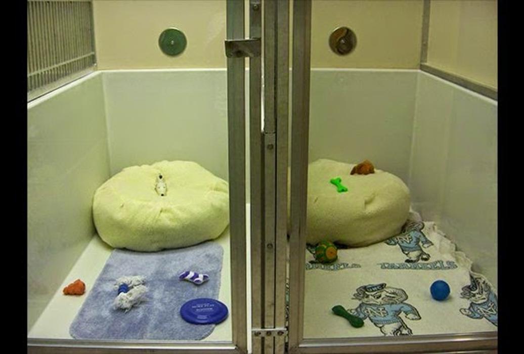 Milestone Veterinary Associates - Greer, SC