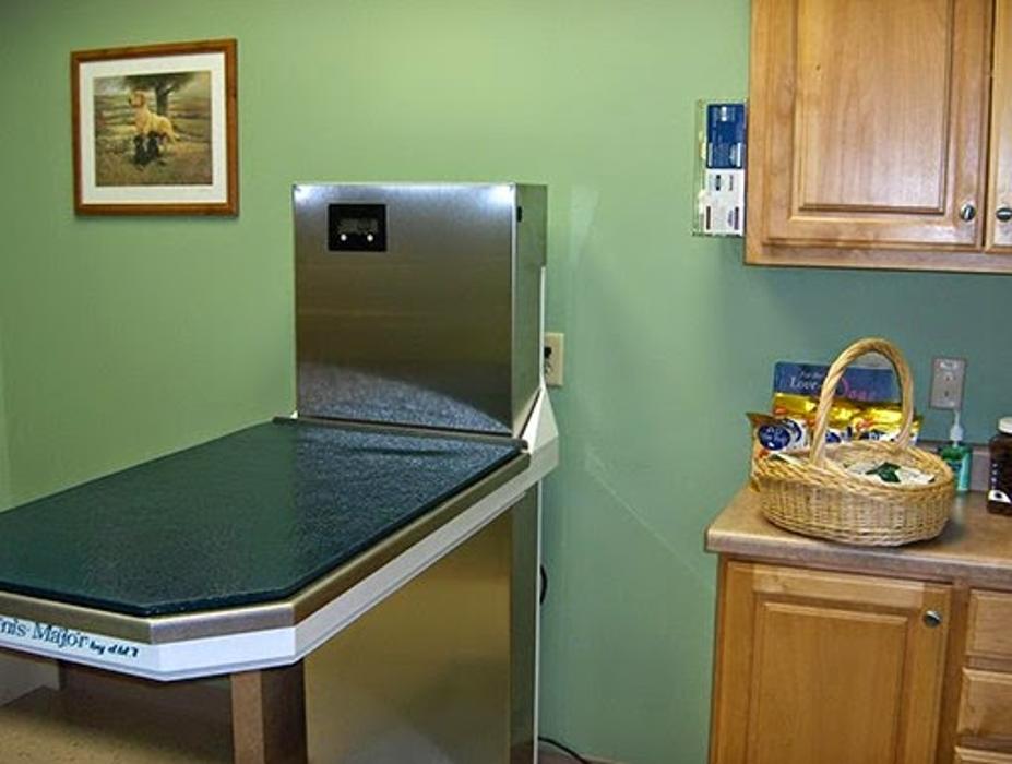 Milestone Veterinary Associates - Greer, SC