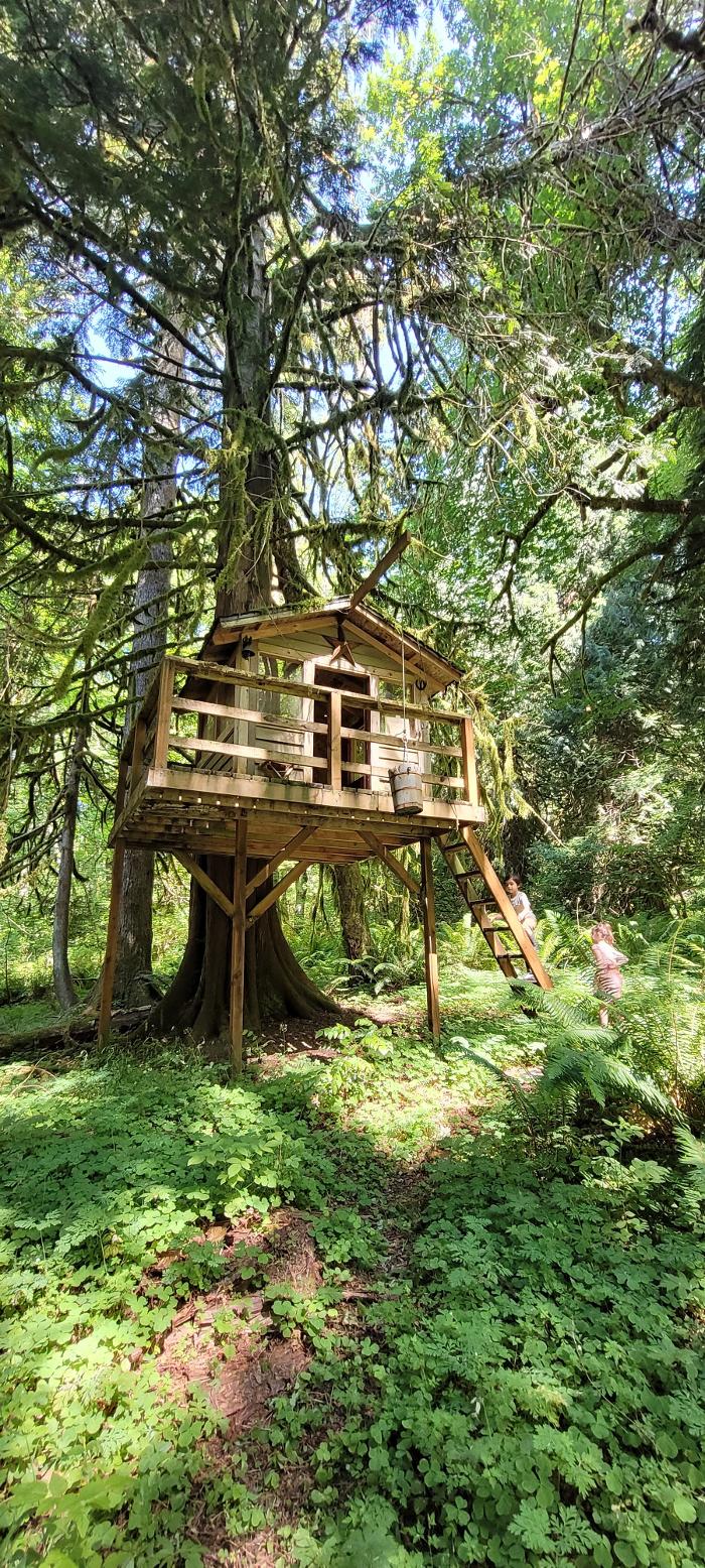 Monique Farinha , Premiere Property Group - Clackamas, OR