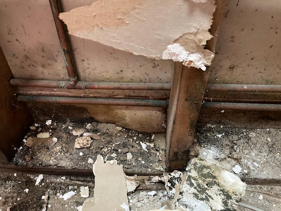 Water Damage Cleanup Team - Cape Coral, FL