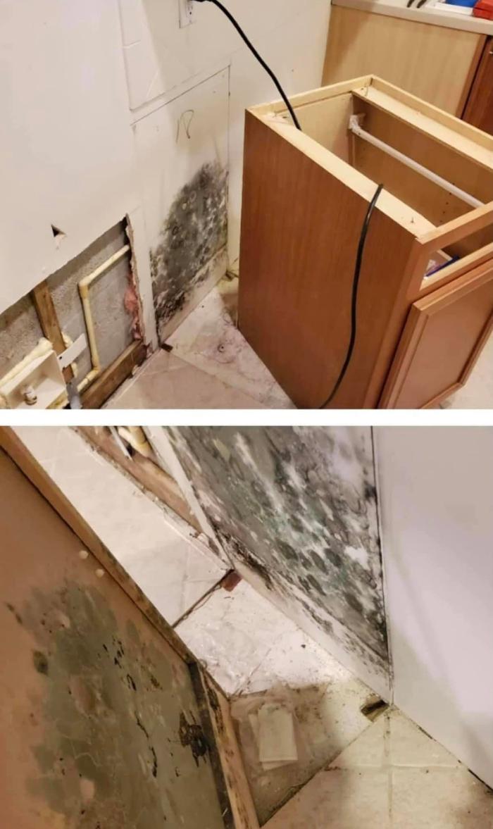 Water Damage Cleanup Team - Cape Coral, FL