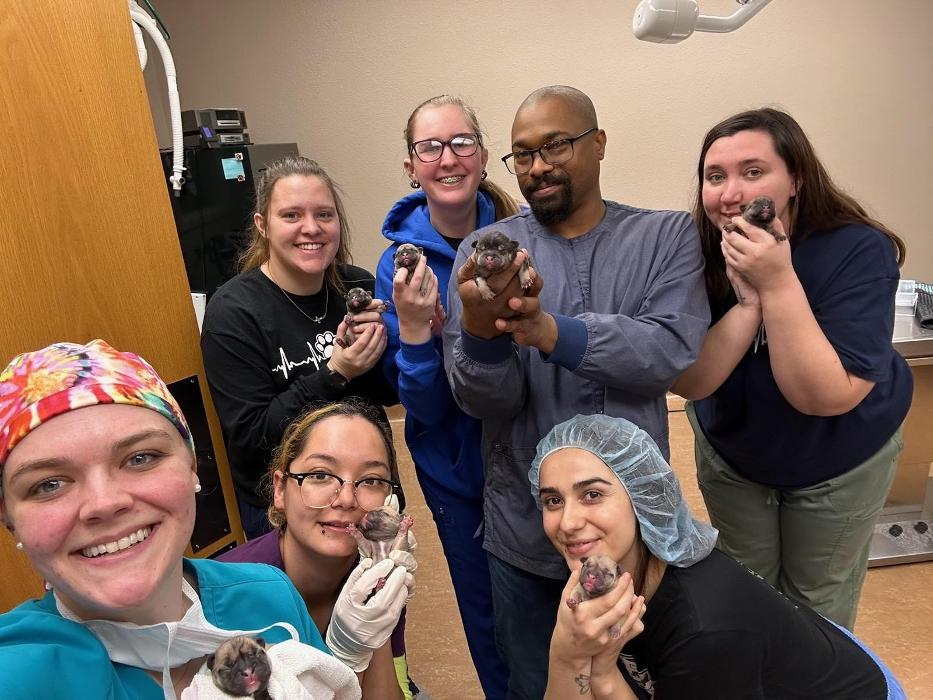 Double J Animal Hospital - Hobbs, NM