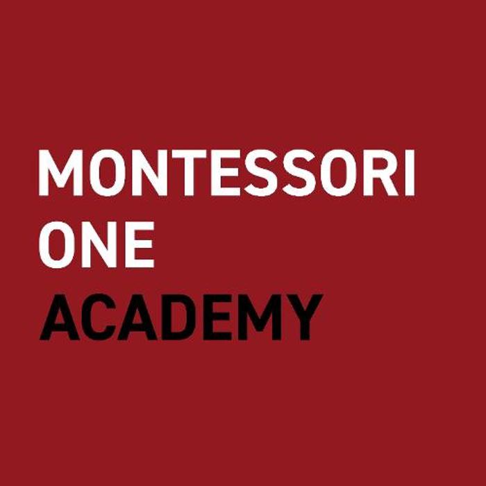 Montessori ONE Academy Image