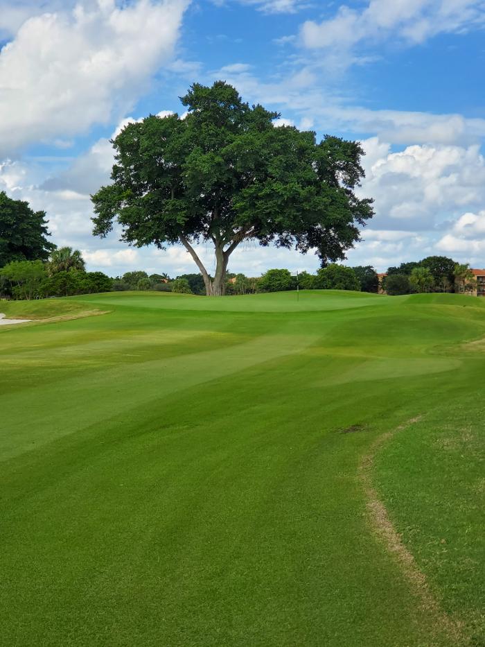 Jacaranda Golf Club - Fort Lauderdale, FL