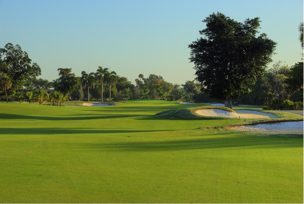 Jacaranda Golf Club - Fort Lauderdale, FL