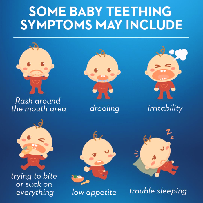 Killeen Pediatric Dentistry - Stephen K. Brandt, D.D.S - Killeen, TX