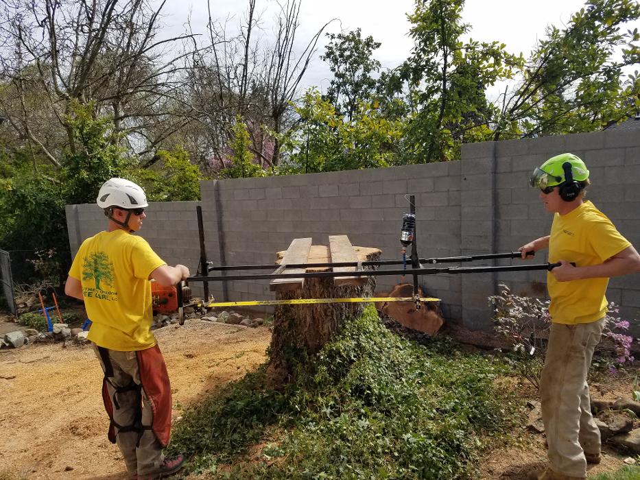 Southern Oregon Tree Care LLC Image