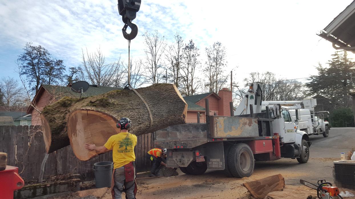 Southern Oregon Tree Care LLC Image