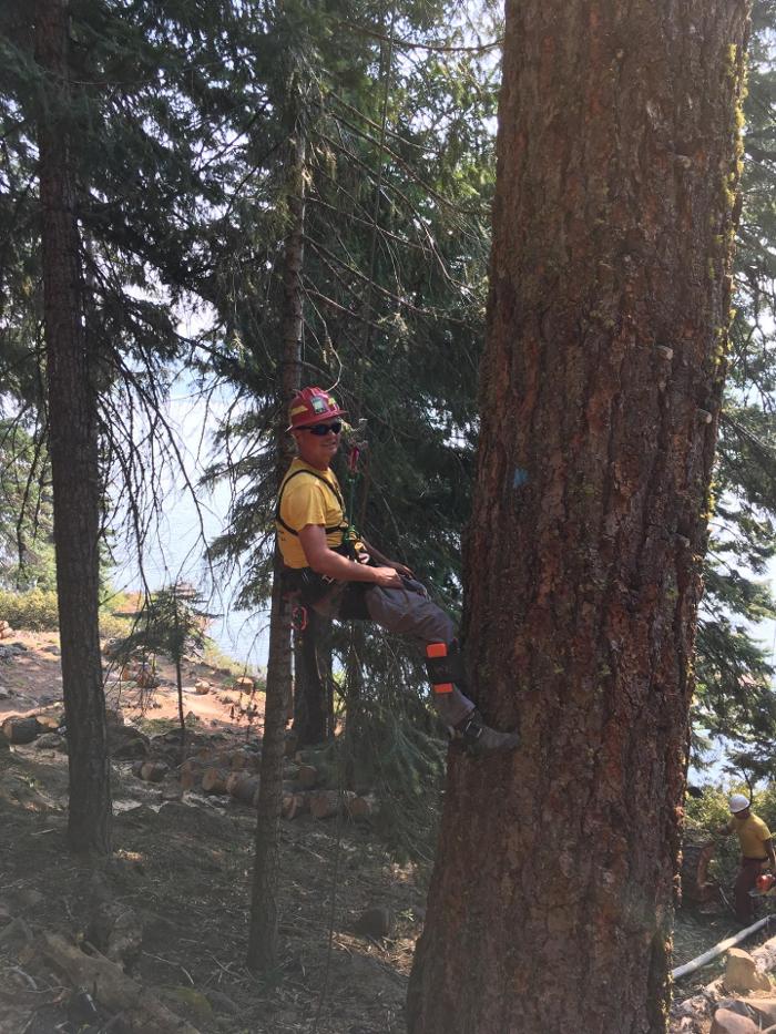 Southern Oregon Tree Care LLC Image
