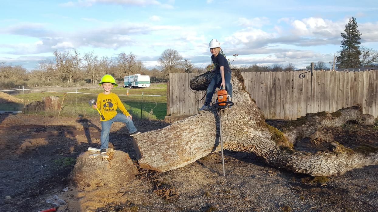 Southern Oregon Tree Care LLC Image