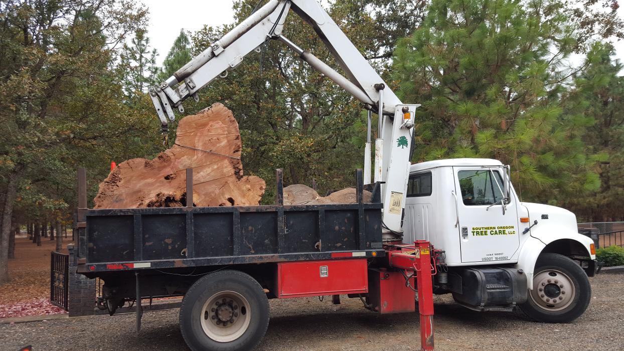 Southern Oregon Tree Care LLC Image