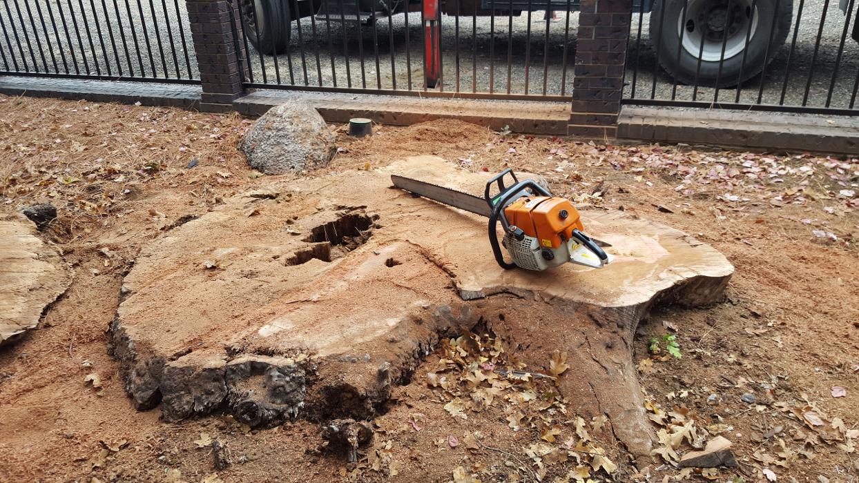 Southern Oregon Tree Care LLC Image