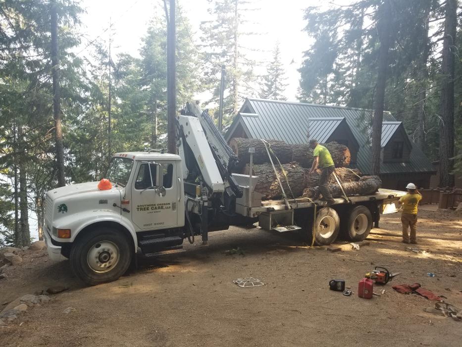Southern Oregon Tree Care LLC Image