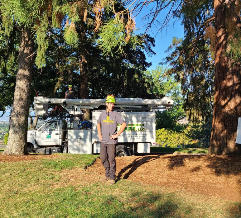 Southern Oregon Tree Care LLC Image