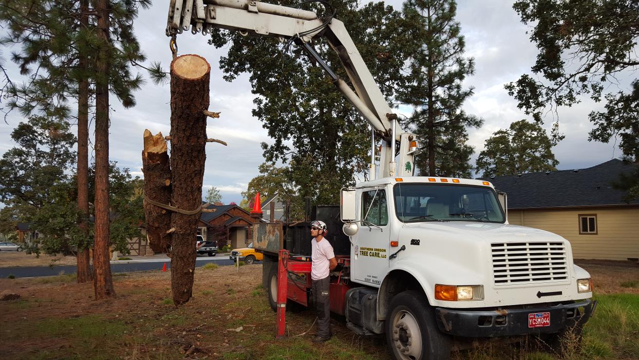 Southern Oregon Tree Care LLC Image