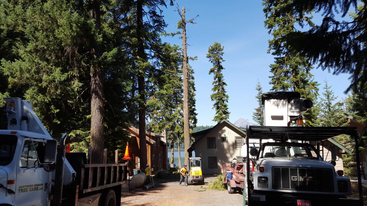 Southern Oregon Tree Care LLC Image