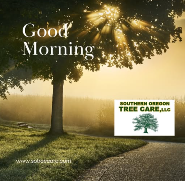 Southern Oregon Tree Care LLC Image