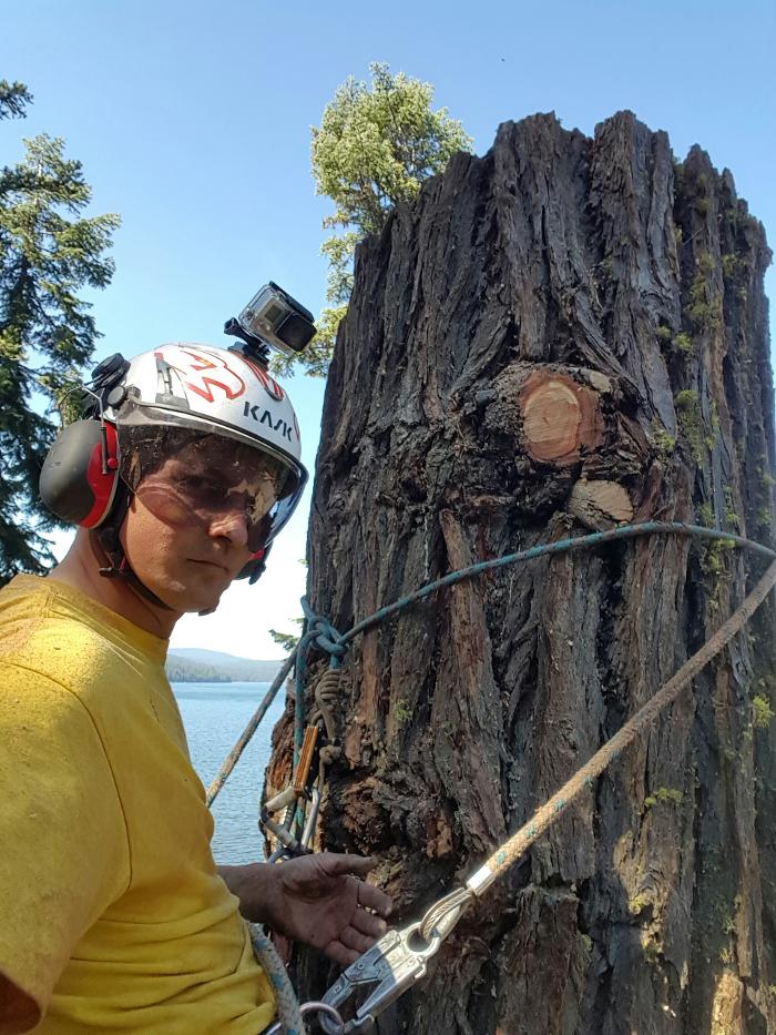 Southern Oregon Tree Care LLC Image