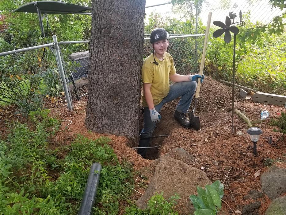Southern Oregon Tree Care LLC Image