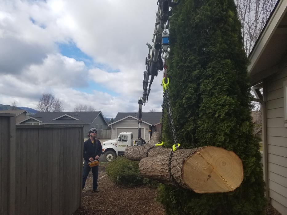 Southern Oregon Tree Care LLC Image