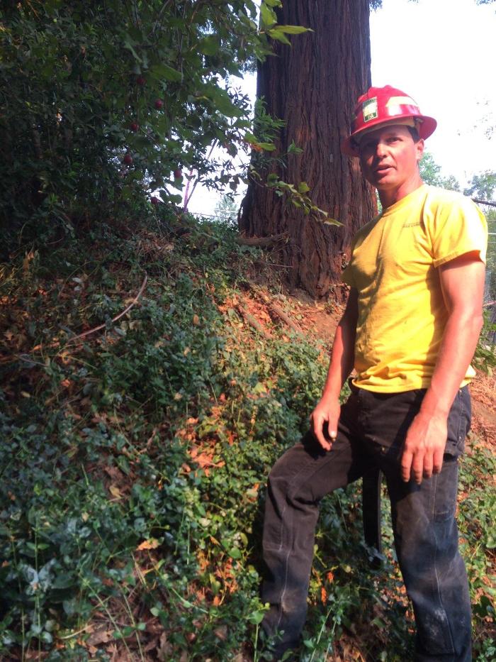 Southern Oregon Tree Care LLC Image