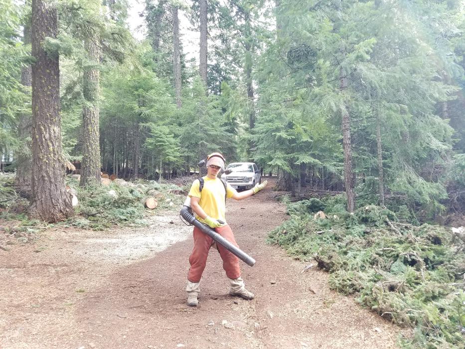 Southern Oregon Tree Care LLC Image