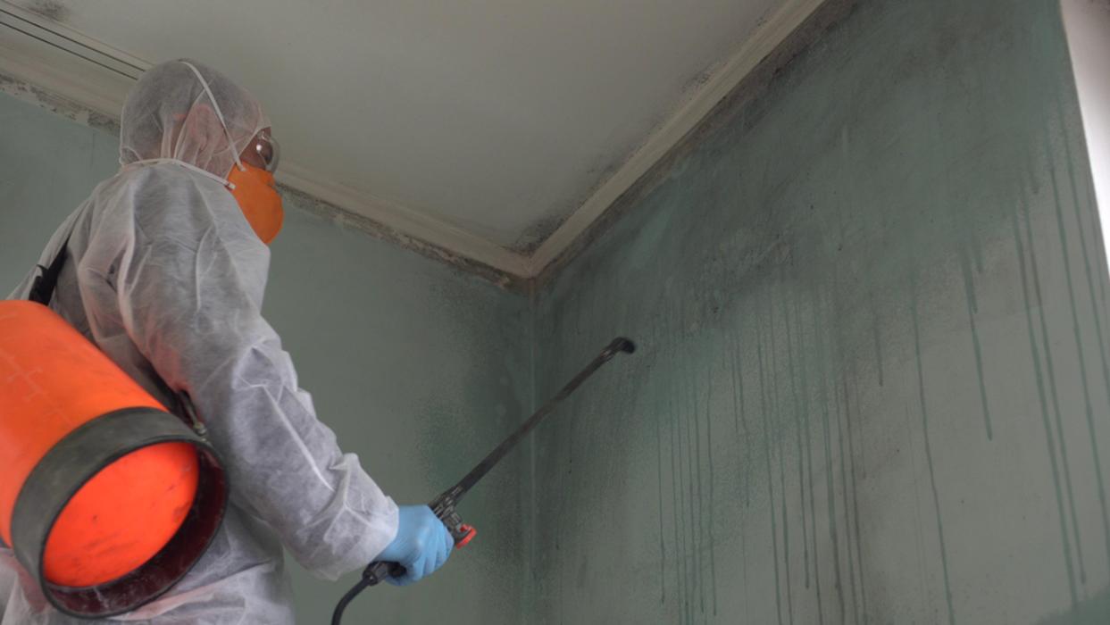 AAA Pest Exterminators Image