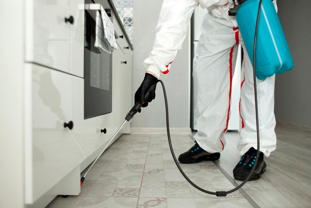 AAA Pest Exterminators Image