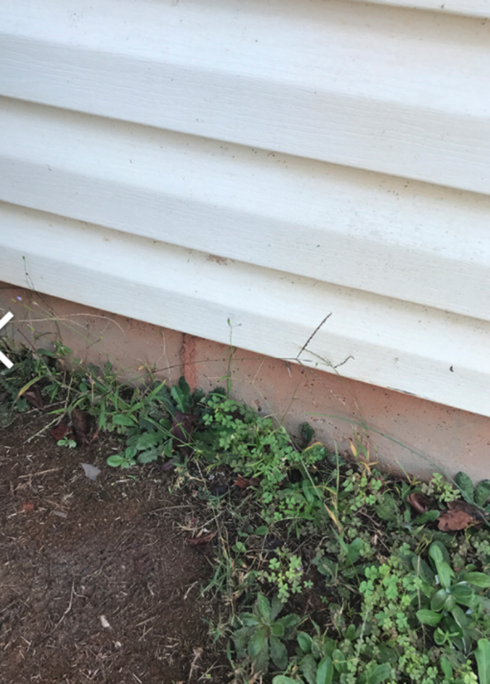 Grand Slam Pest Control, Inc. - Covington, GA