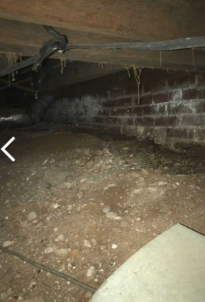 Grand Slam Pest Control, Inc. - Covington, GA