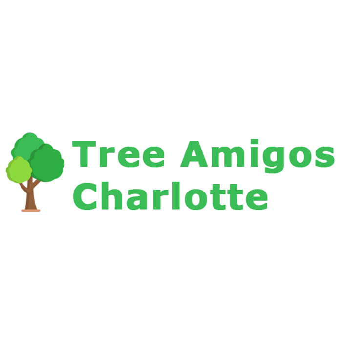 Tree Amigos Charlotte - Charlotte, NC