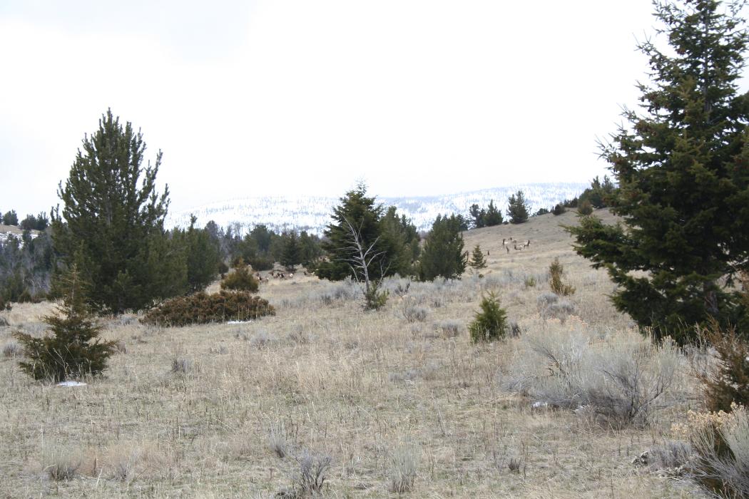 JK Appraisal & Consulting, LLC - Belgrade, MT