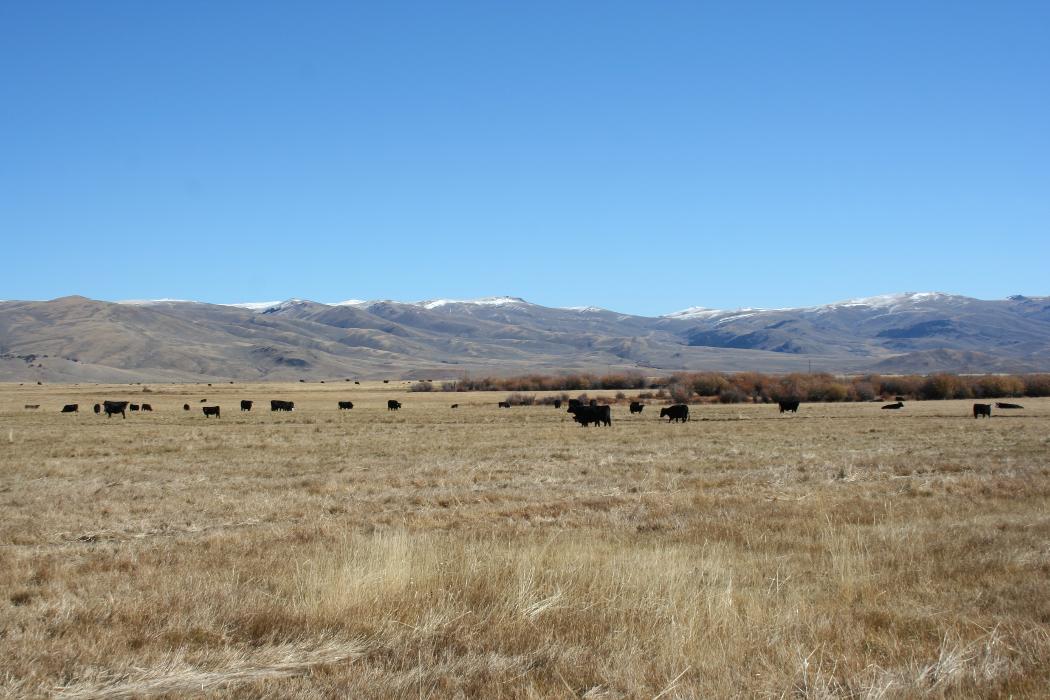 JK Appraisal & Consulting, LLC - Belgrade, MT