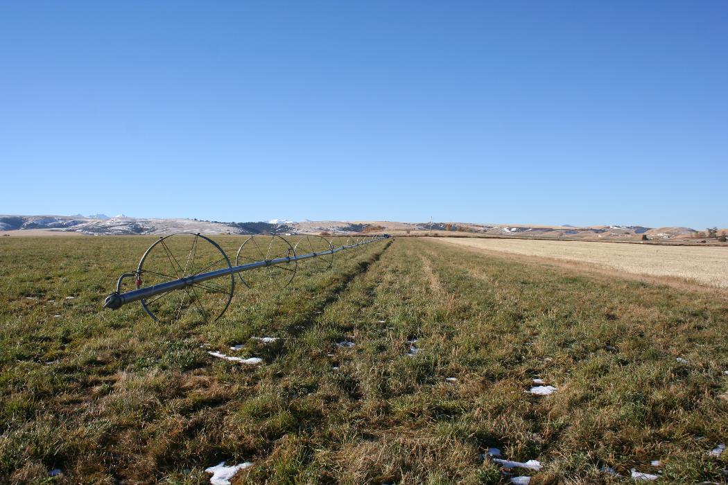 JK Appraisal & Consulting, LLC - Belgrade, MT