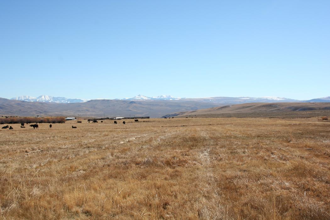 JK Appraisal & Consulting, LLC - Belgrade, MT