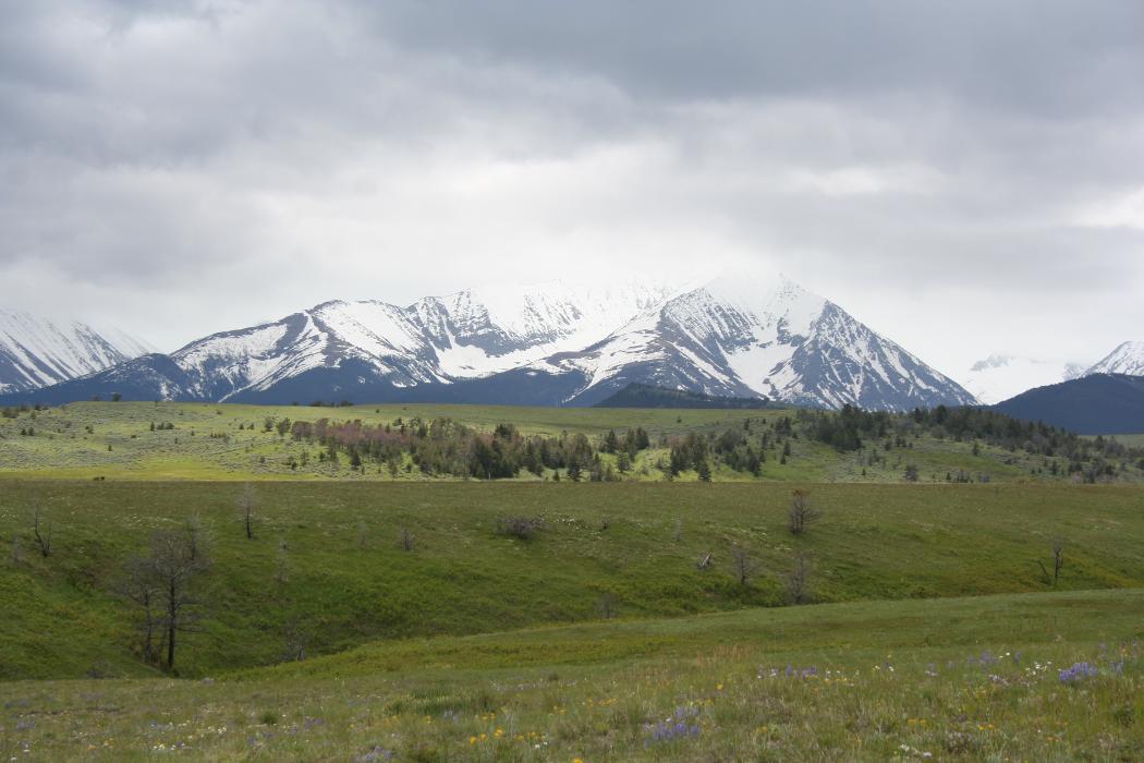 JK Appraisal & Consulting, LLC - Belgrade, MT