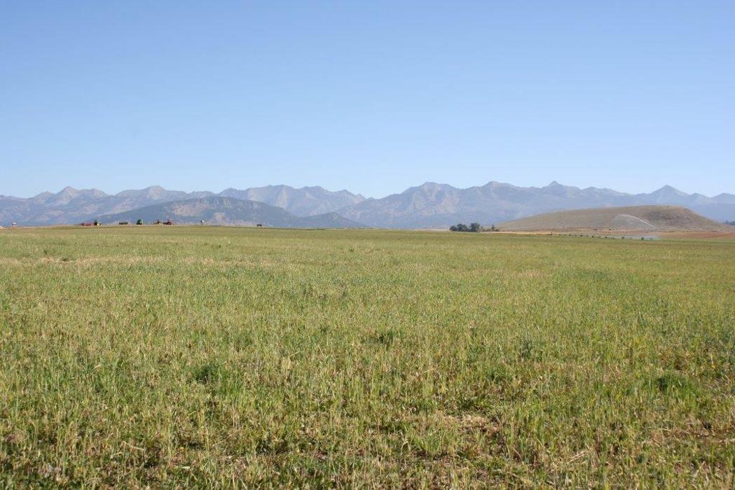 JK Appraisal & Consulting, LLC - Belgrade, MT