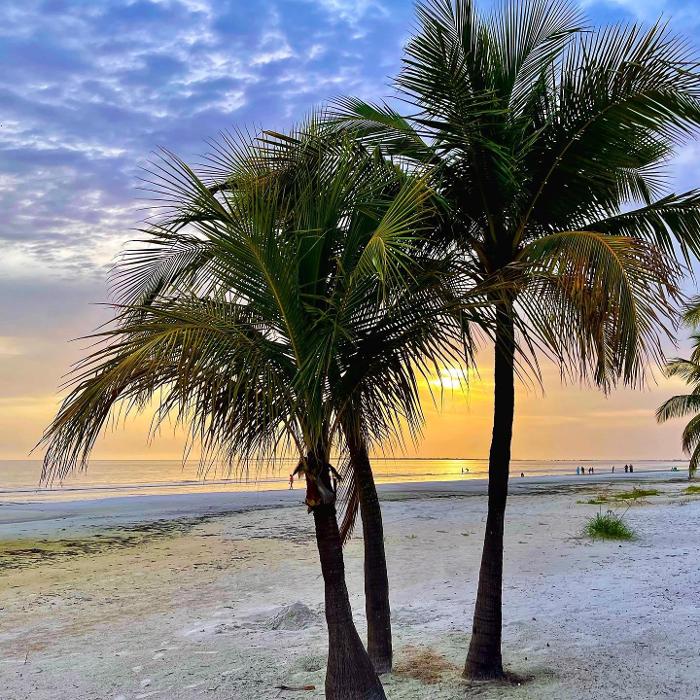 Lorna Littrell Photography - Fort Myers Beach, FL