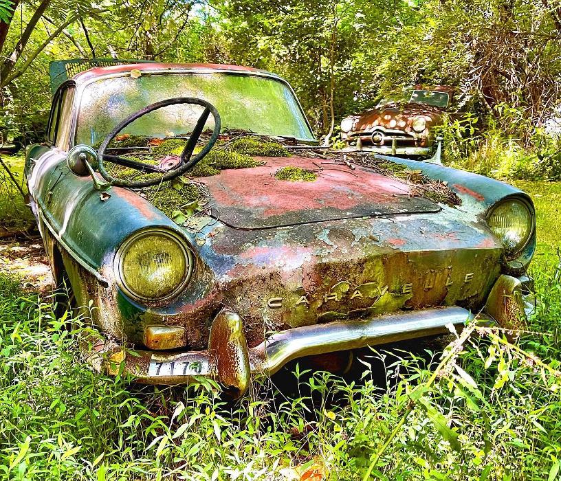 Lorna Littrell Photography - Fort Myers Beach, FL