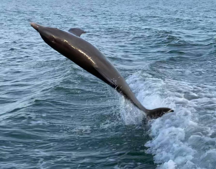 Lorna Littrell Photography - Fort Myers Beach, FL