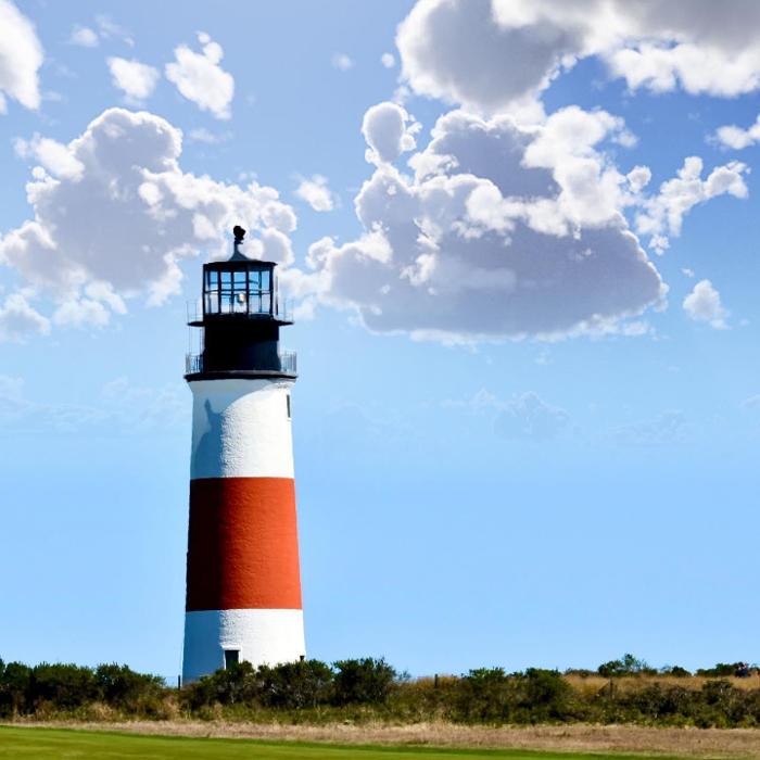 Lorna Littrell Photography - Fort Myers Beach, FL