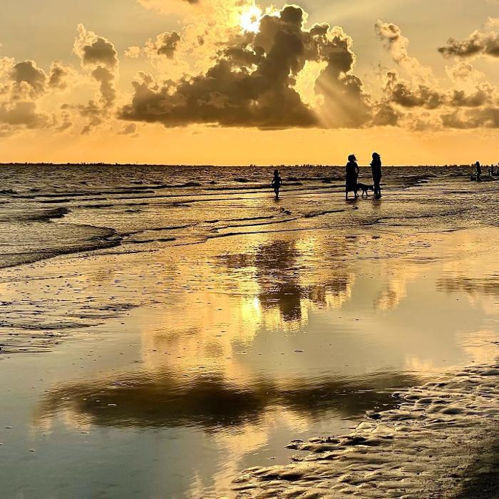 Lorna Littrell Photography - Fort Myers Beach, FL