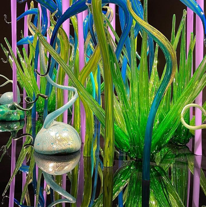 Lorna Littrell Photography - Fort Myers Beach, FL