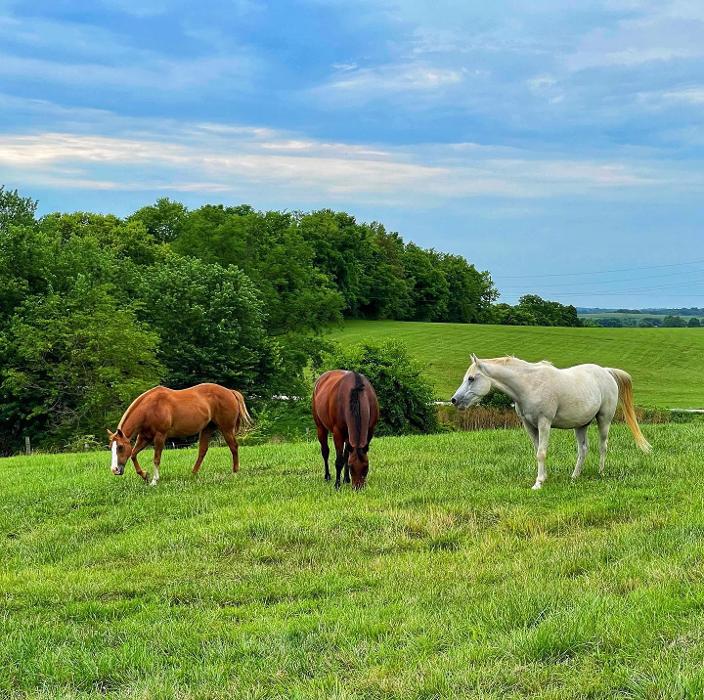 Lorna Littrell Photography - Fort Myers Beach, FL
