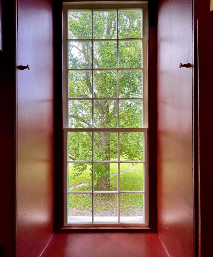 Lorna Littrell Photography - Fort Myers Beach, FL