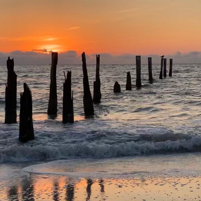 Lorna Littrell Photography - Fort Myers Beach, FL