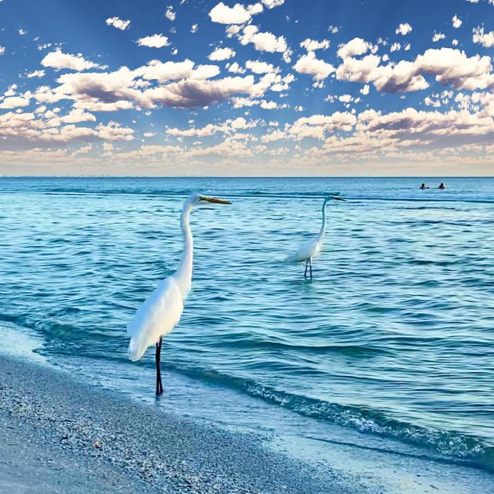 Lorna Littrell Photography - Fort Myers Beach, FL