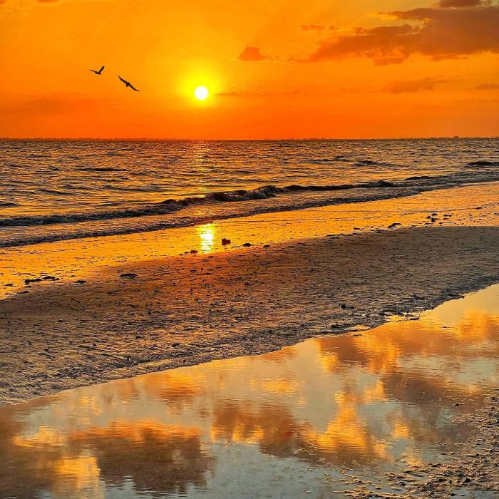 Lorna Littrell Photography - Fort Myers Beach, FL