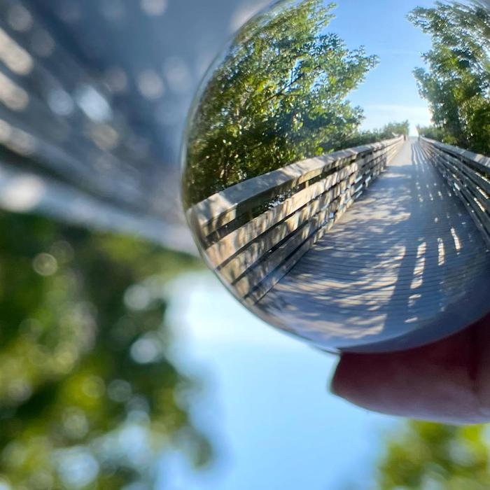 Lorna Littrell Photography - Fort Myers Beach, FL