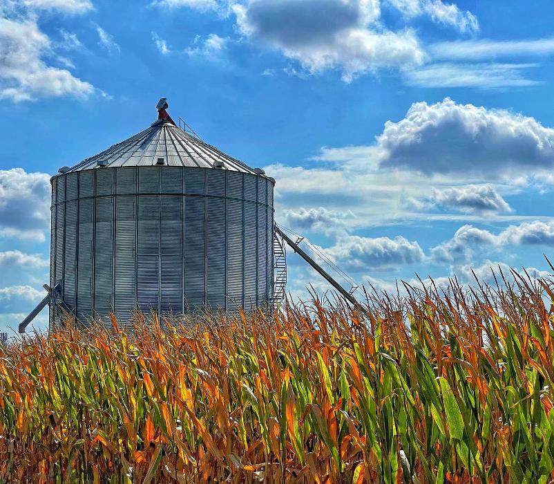 Lorna Littrell Photography - Fort Myers Beach, FL